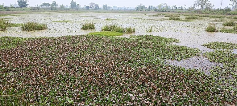 मरधरको जग्गा फिर्ता गर्ने प्रक्रिया सुरु