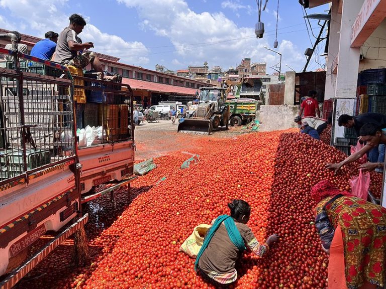 गोलभेँडा किसानलाई राहत रकम प्रदान गर्न किसान महासंघको माग