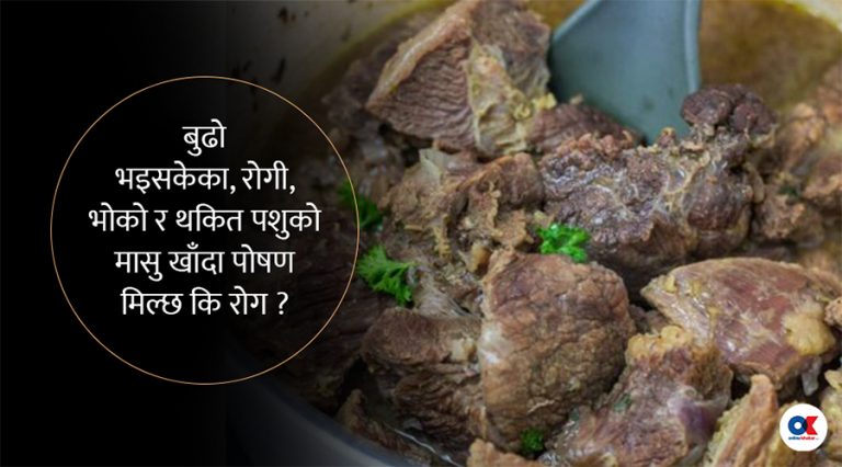 मासुमा पोषण त हुन्छ, तर रोग पनि बढाइरहेको छ