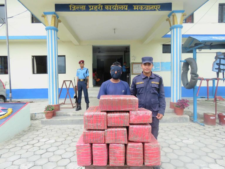 १०० किलो लागु औषध गाँजासहित एक जना पक्राउ