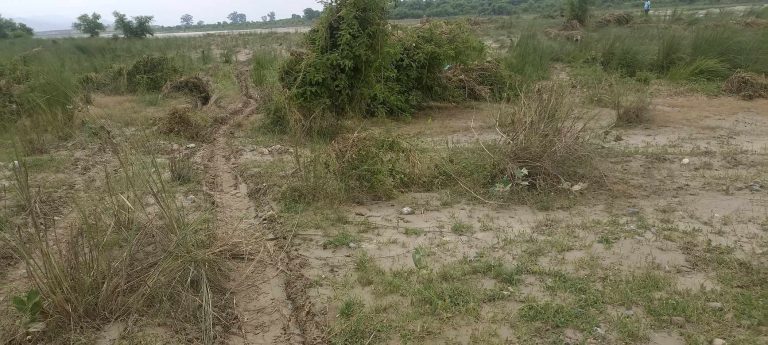 रौतहटमा बृक्षारोपणको नाममा करोडौ स्वाह