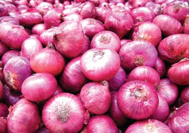 भारतले प्याजमा लगायो ४० प्रतिशत निर्यात कर