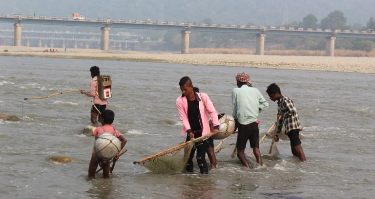 बागमतीमा करेन्ट लगाएर जलचार मार्दा पनि मौन वन र प्रहरी