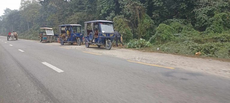 काचा सालका लाथ्रा काटन दर्जनौ ई रिक्सा वनमा
