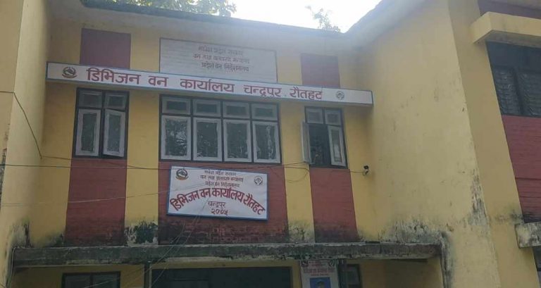 आपूर्ति समितिले वितरण गर्ने काठ पाउदैनन् सर्वसाधारणले
