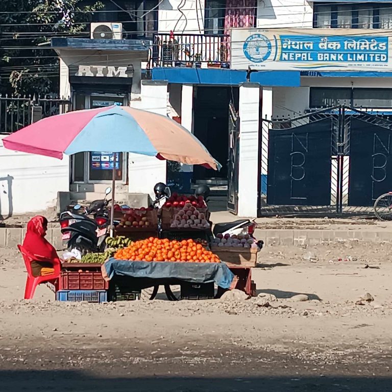 चन्द्रपुरको फोरलेनमै फलफुल पसल