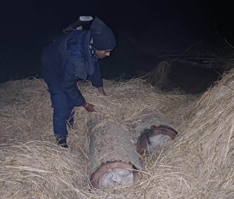 रौतहटमा वनले गस्ति गर्न छाडेपछि काठ बरामद गर्दे प्रहरी