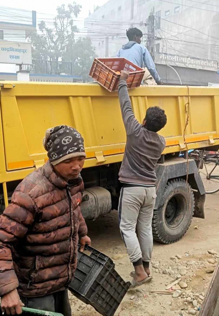 चन्द्रपुरमा सडक अतिक्रम गरेर व्यापार गर्नेको ठेला उठायो नगरपालिकाले