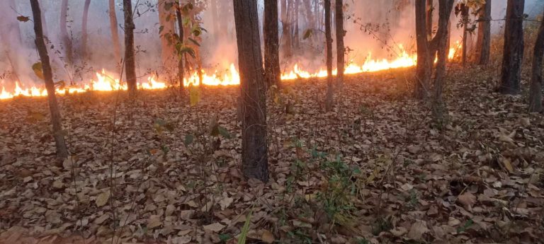 रौतहटको वनमा भिषण आगलागि,वन कर्मचारी मुकर्दशक