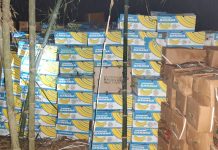 राति केराको भारी बोकेर भाग्दै तस्कर, कार्टुन भने एसएसबीको हातमा