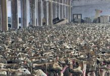 मधेस प्रदेशमा मनलाग्दीको नमुना : खरिद भयो धूमधामले, वितरणमा पूर्ण विराम !