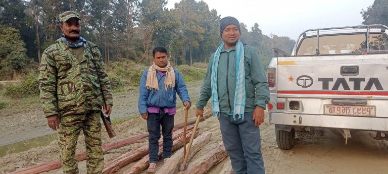 काँचा सालका लाथ्रा काटने लखट्दै वन कर्माचारी