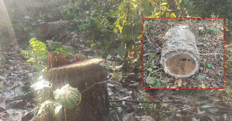 कर्मचारीकै मिलेमतोमा सकिदै रंगपुर साझेदारी वन