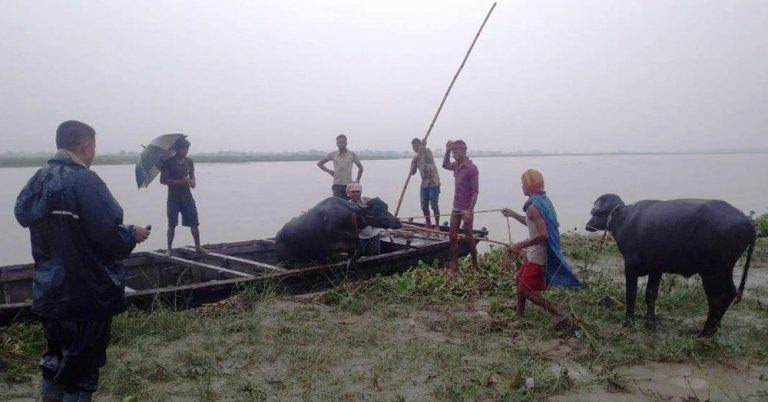रौतहटमा टापुमा फसेकाहरुको ८ घण्टापछि उद्धार