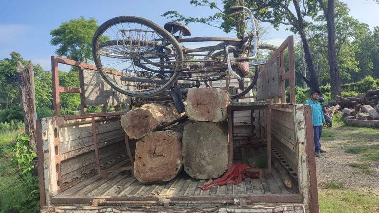 रौतहटमा ९ थान सालको गोलीयासहीत मुखिया पक्राउ
