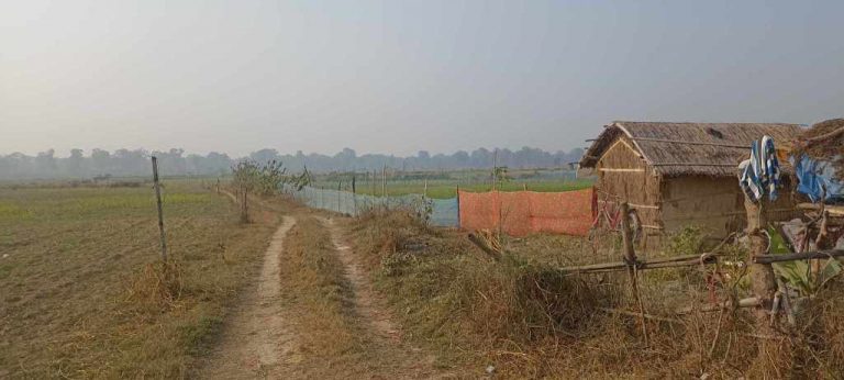 वन कर्मचारीकै मिलेमतोमा बागमतीको बगर अतिक्रमण