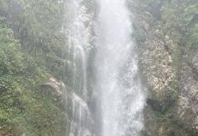 अबैध उत्खननको आरोपमा वडा अध्यक्ष र क्रसर संचालक पक्राउ