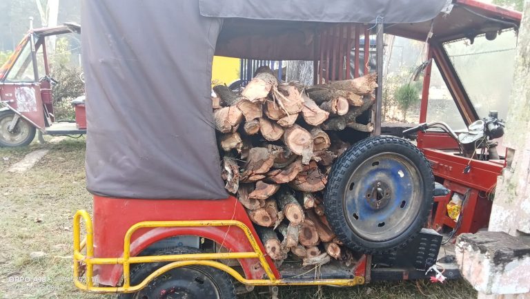 रौतहटको वनमा ब्यापक रुपमा काँचा सालका लाथ्रा काटिदै ,मौन वन कर्मचारी