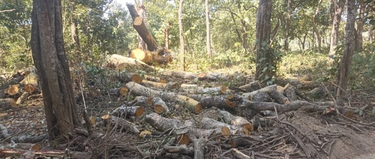 रौतहटको रङ्गपुर साझेदारी वनमा समितिको मनलाग्दी