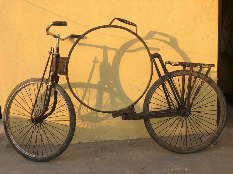 रौतहटमा बढ्यो काठ चोरी-तस्करी