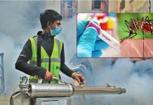 काठमाडौँ महानगरले थाल्यो डेंगुको लार्भा नष्ट गर्ने अभियान