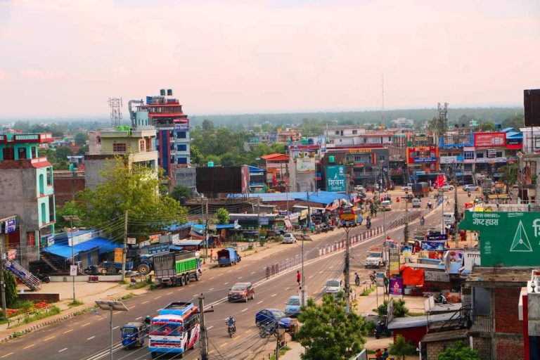 सडक पेटीनै बिचौलियाको कब्जामा