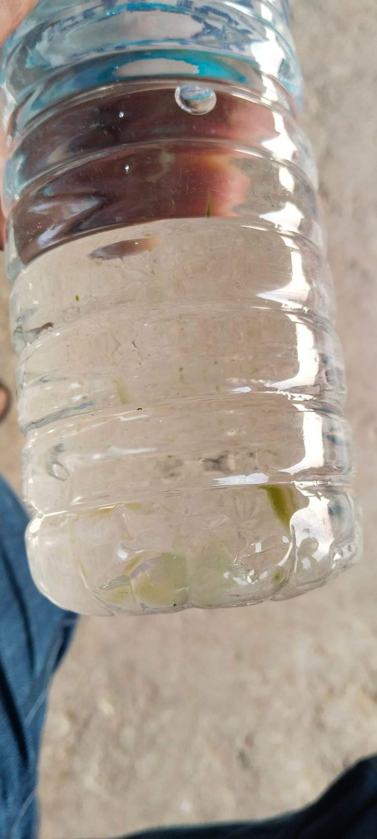 बजार अनुगमनका नाममा सम्बन्धित निकायको झारा टार्ने काम,मुन ड्रप्सले बजारमा पठाएको पानीमा लेदो फेला पर्यो