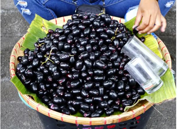 जामुन मधुमेहका बिरामलाइ बरदान, चार तरिकाले सकिन्छ खान