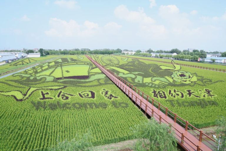 प्रधानमन्त्री पुगे चिनियाँ धान खेतमा