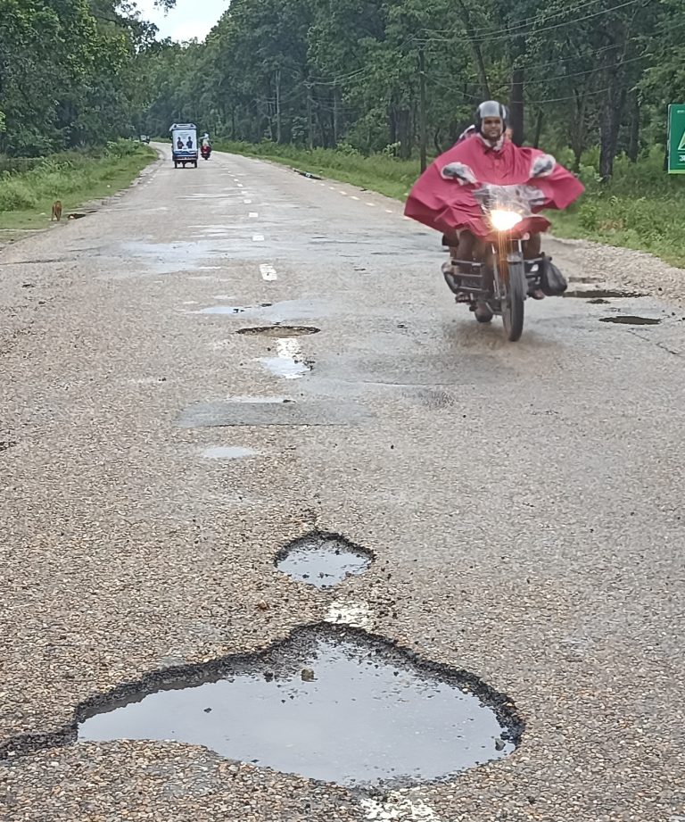सडकमा खाल्डै खाल्डा ,दुर्घटनाको जोखिम