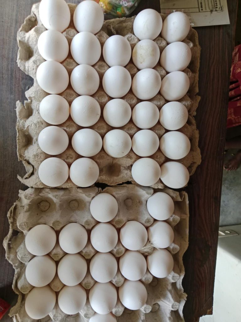 सीमा खुला, किसान थला—भारतीय अण्डाले बजार कब्जा