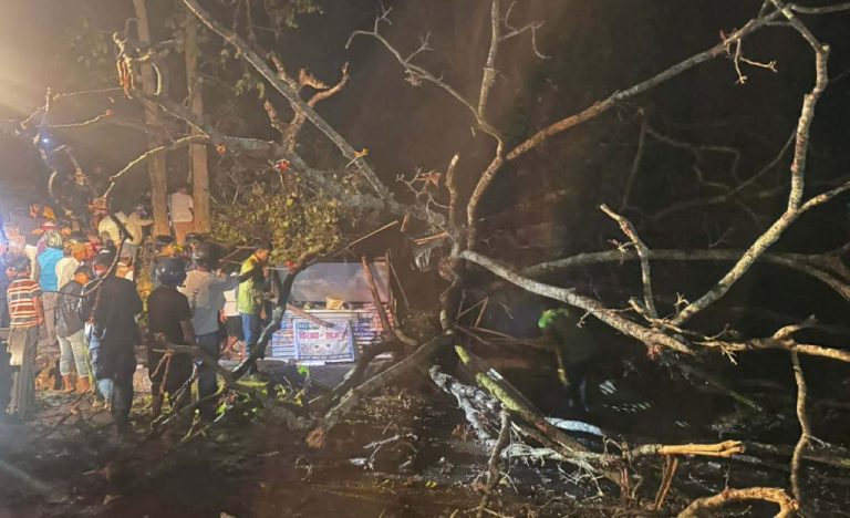 रुख ढल्यो, जनधन क्षति :  दुईको मृत्यु, पाँच घाइते