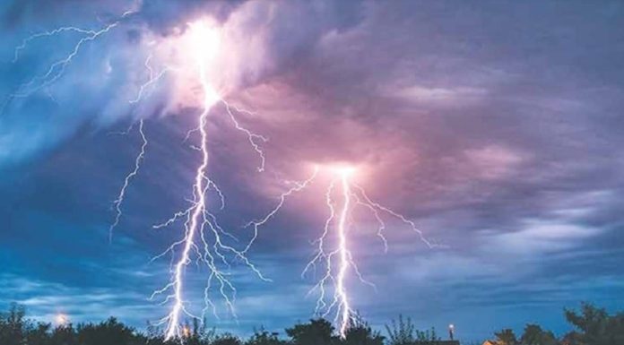 चट्याङको कहर : एकै झट्कामा गोठ खरानी, १४ पशुको दर्दनाक अन्त