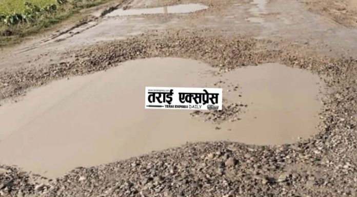 खाल्डाखुल्डीले थिलथिलो डुमरिया–लवतना सडक : भारतीय सीमासम्मको यात्रा जोखिमपूर्ण