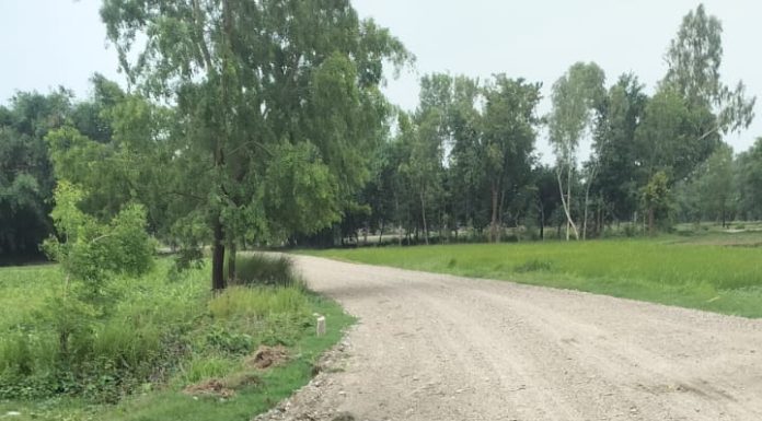 बनिनसक्दै भत्किने संकेत ! देवाहीको कालोपत्रे सडक विवादमा